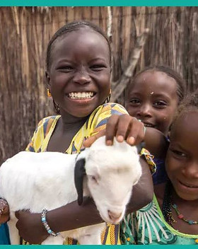 heifer project 1.JPG