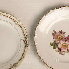 M Morimorra & S Briar Rose