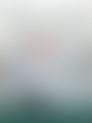 um paciente com múltiplos profissionais