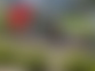 Costa Rica, La Fortuna- Arenal Volcano