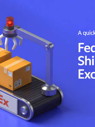 What is exactly FedEx Shipment Exception? Learn more in Stockmatic