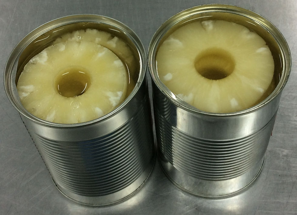 Canned Pineapple1