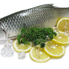 milk fish.jpg