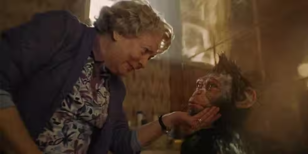 Un chimpancé pequeño hablando con su abuelita