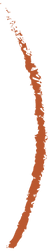 4Asset 13@2x.png
