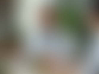 Understanding Personalised Nutrition Advice