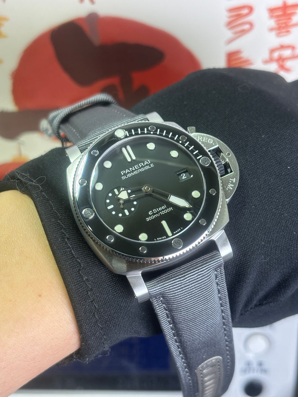 Thumbnail: PAM 1288 VSF