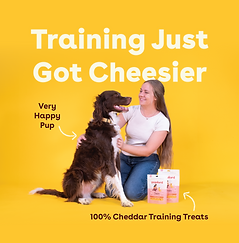 pupford_product_training_cheddarad_Artboard 3.png