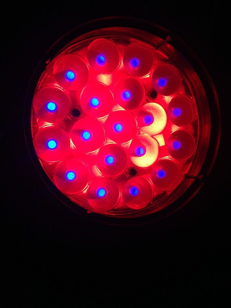 Miniatura: SSTR AURA 40W