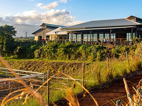 Restaurant le Dodo Vert, view from the bottom of the quarry