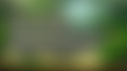 Growing Aquatic Moss in Aquarium.