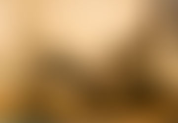 What is Biotope Aquascaping Style