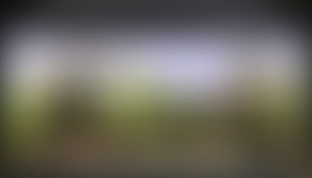 How To Discover And Prevent Problems in Your Aquarium.