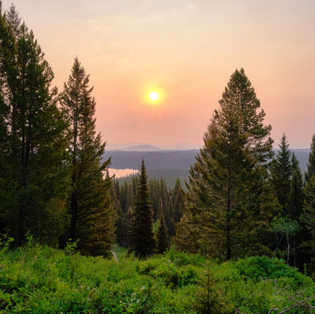 Yellowstone Tetons 247 (Custom).jpg