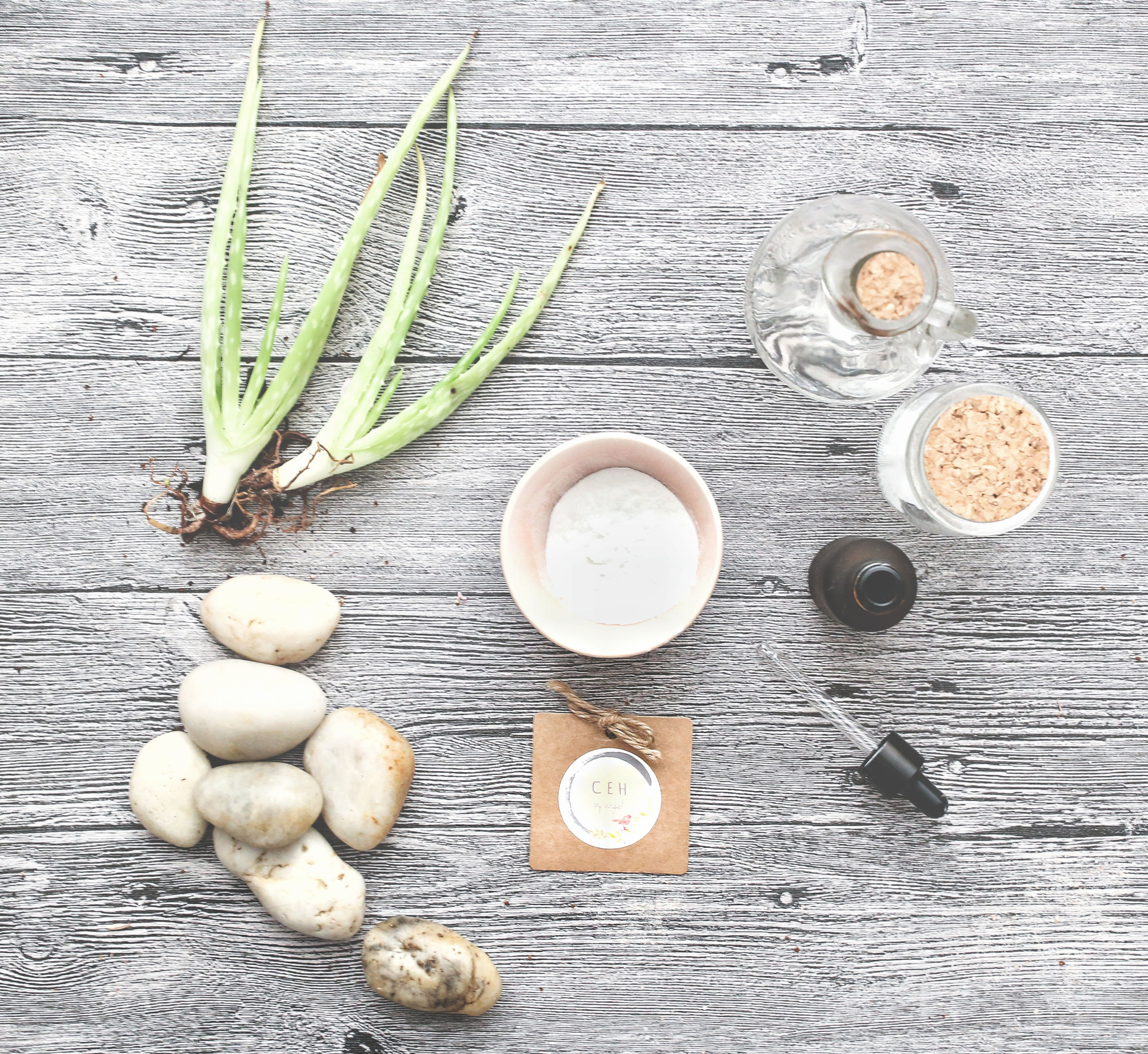 Organic Aloe Vera Extract Powder 100:1