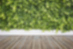 Lush green hedge near white retaining wall and decking