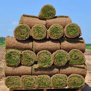 укладка рулонных газонов в курске