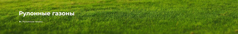 рулонный газон курск