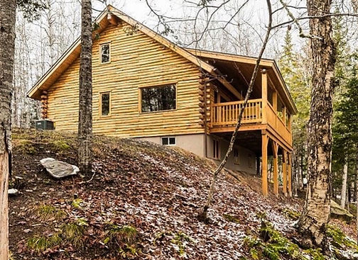 LOG HOUSE.jpeg