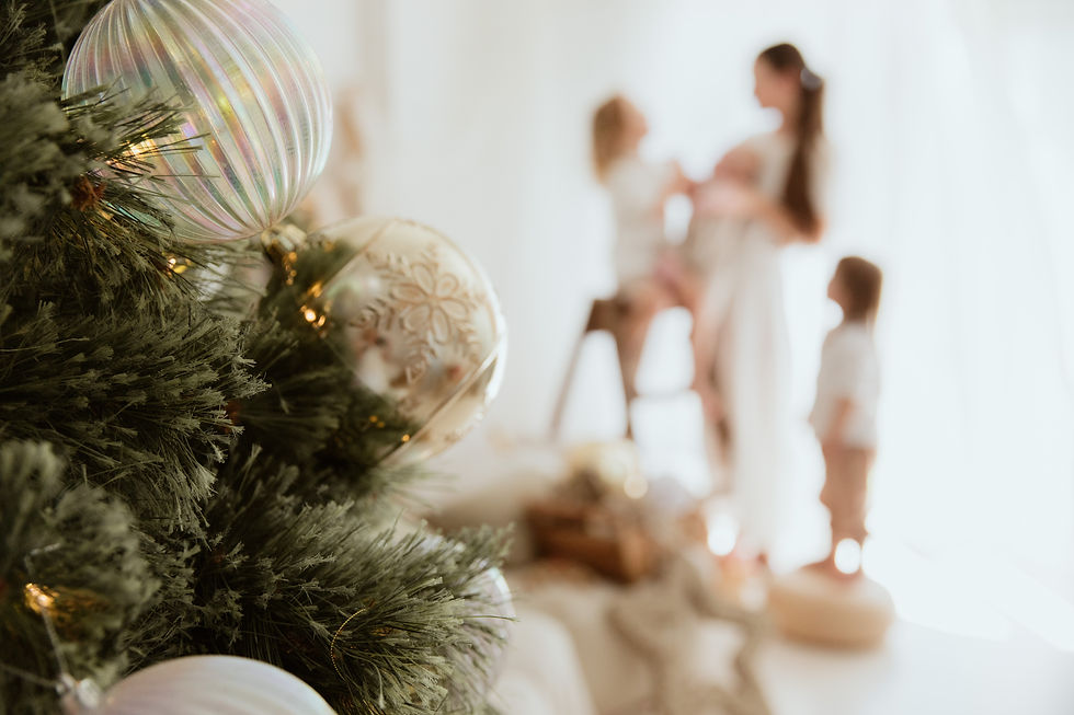 Christmas_Cottage_Minis_Emma_Webber_Photography_Hunter_Valley_HI_RES-85.jpg