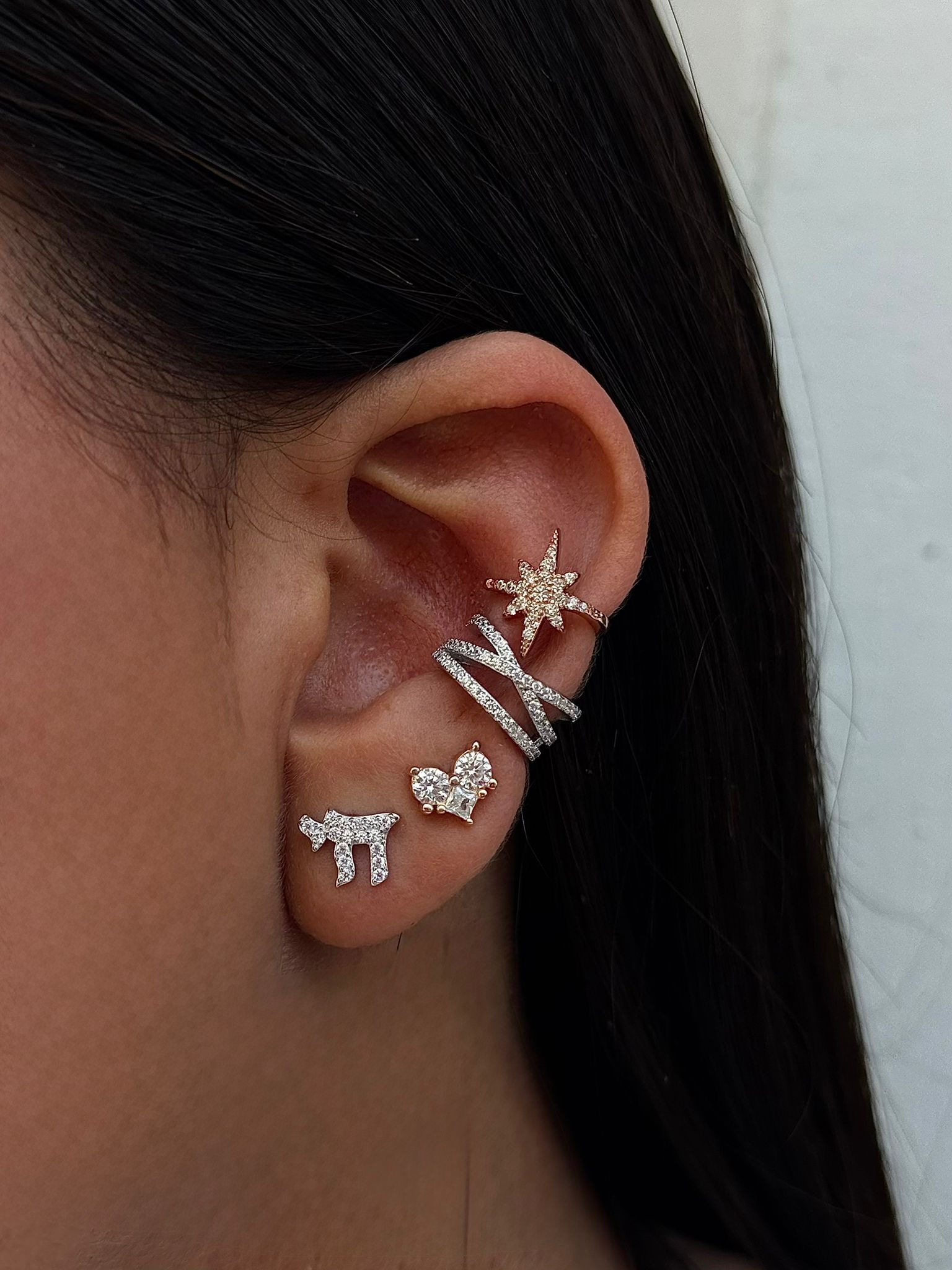 עגילי חי משובצים 