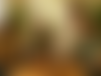 Une dégustation de spiritueux à domicile : l’expérience conviviale qui change tout