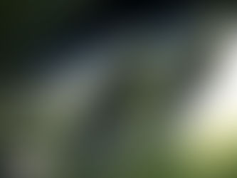 Weißer Rauch aus dem Auspuff