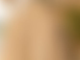 『脱・石油の時代へ:微生物と発酵が紡ぐ、ブリュード・プロテイン™(Brewed Protein™)が導く繊維産業の大転換』第3話〜植物由来繊維の現在地〜