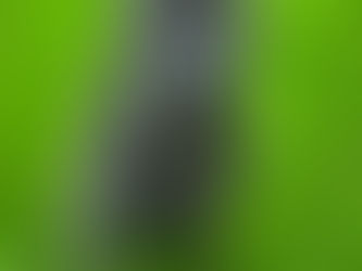 Kingston | Cane Corso | Palmdale, CA | Boarding