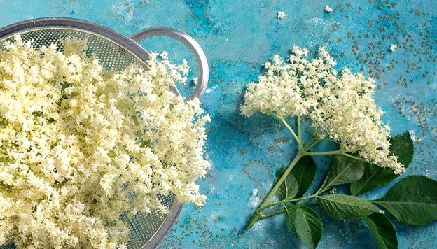 Thumbnail: Lavender & Elderflower Whipped Body Butter