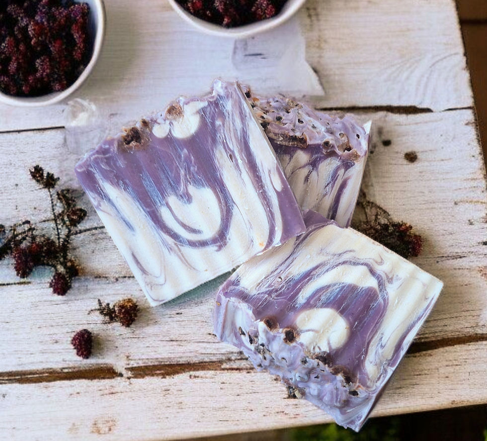 Thumbnail: The Wild Elderberry Bar