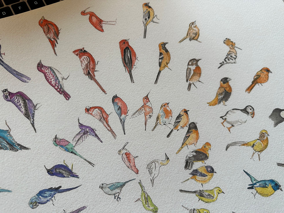 Thumbnail: Circular Birds