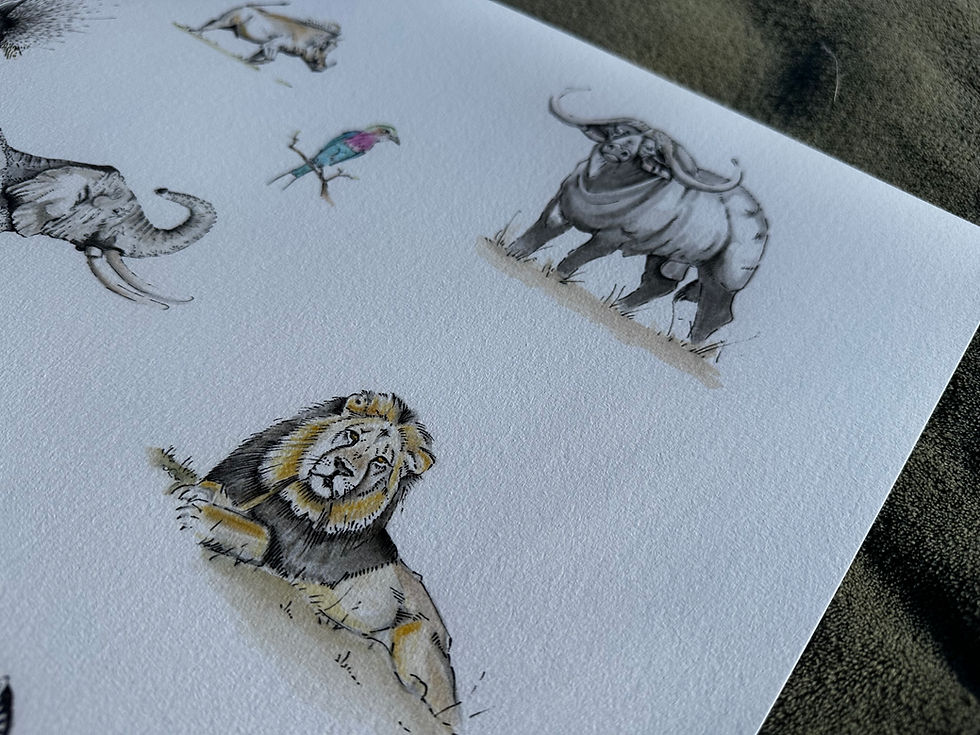 Thumbnail: Africa Montage