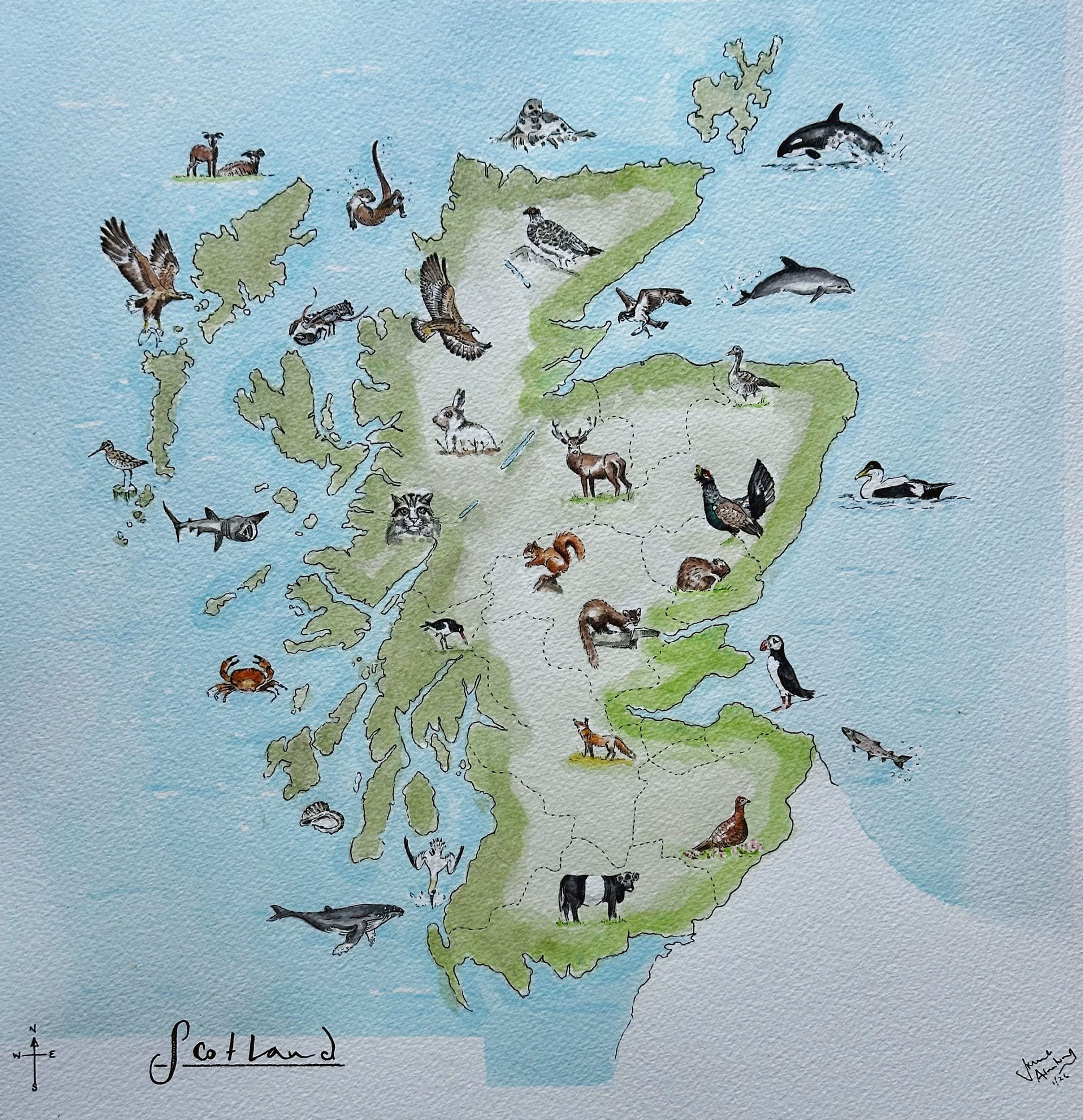 Scottish Wildlife Map