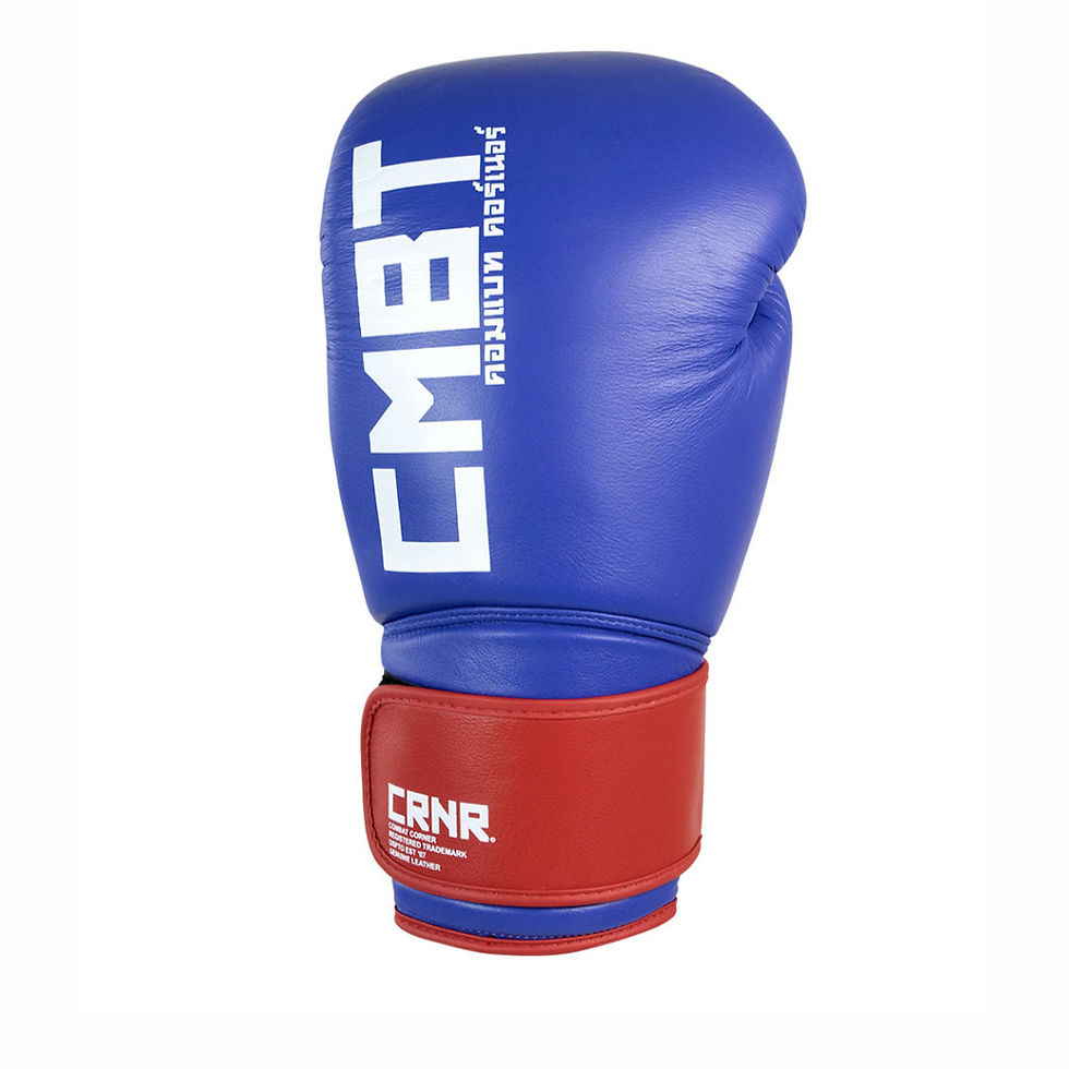 Thumbnail: HMIT Champion Boxing Gloves l Red/White/Blue