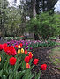 IMG_2930.jpeg