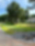 IMG_1683.jpeg