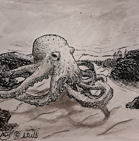 Mr. Octopus Please Stand Up