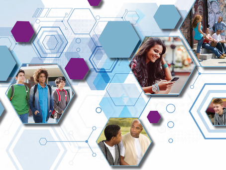 Youth Violence Prevention: Resource for Action