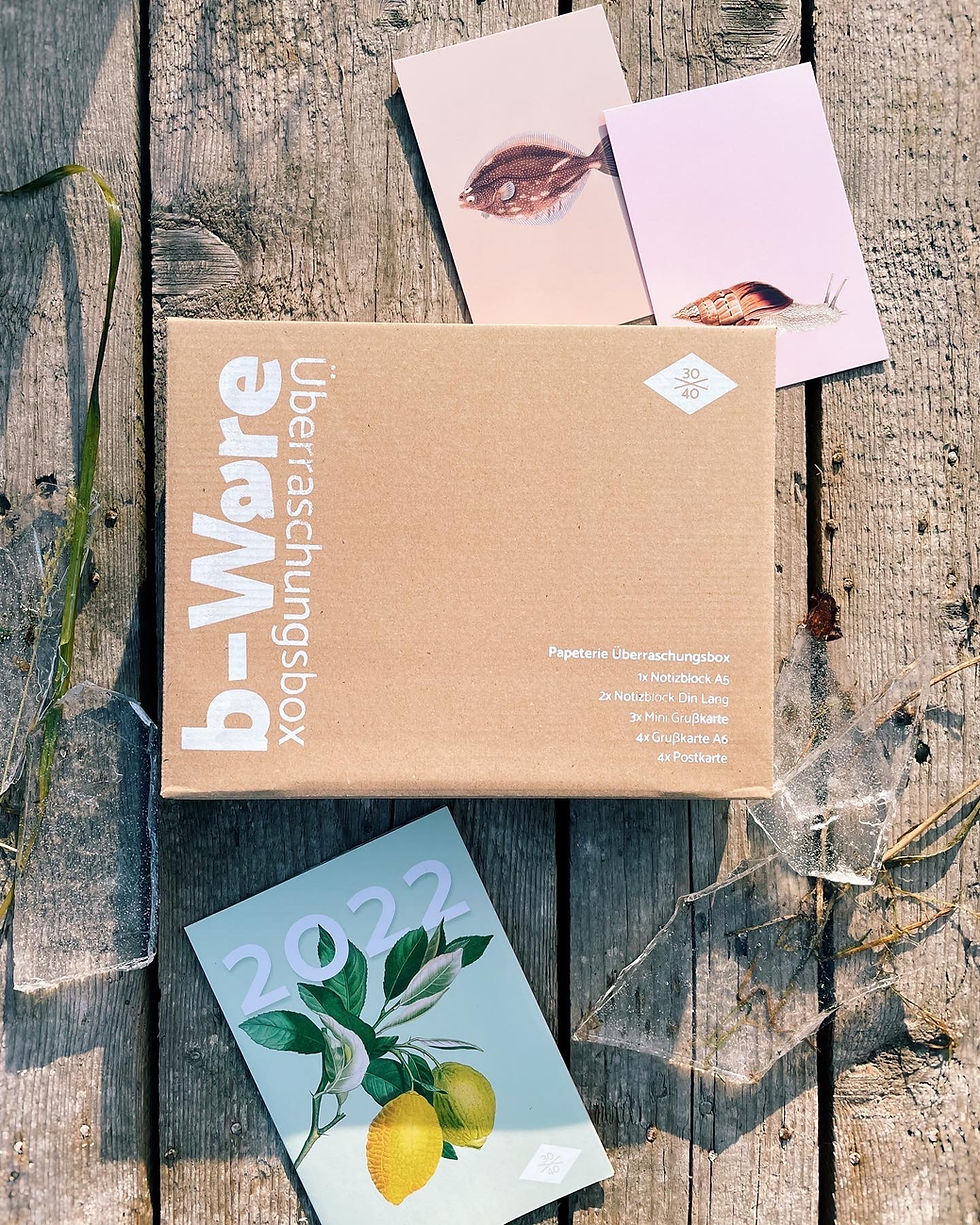 Miniaturbild: B-Ware Box (Groß)