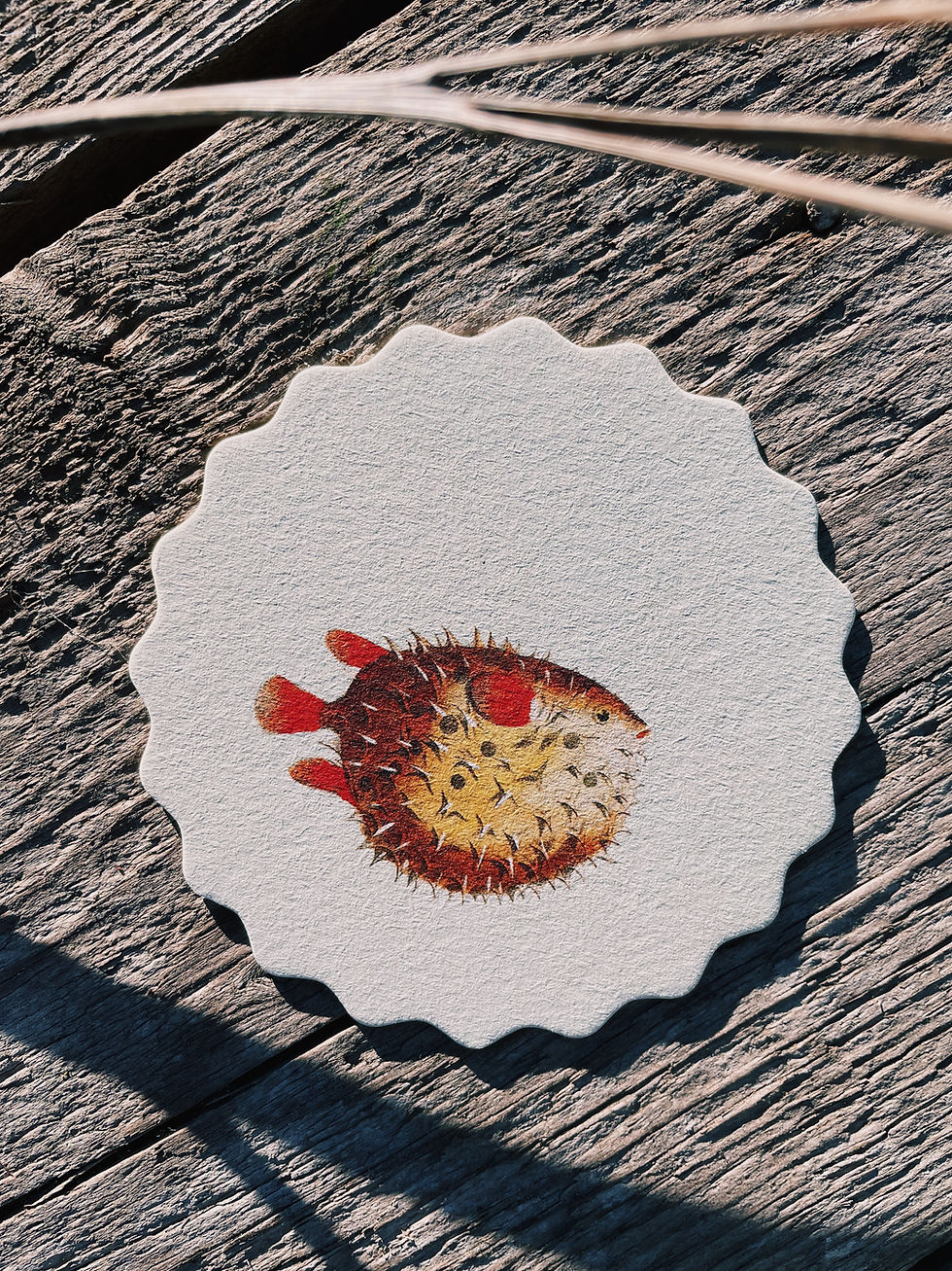 Miniaturbild: Coaster Set 10er - Fische