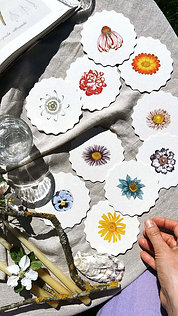 Coaster Set 10er - Blüten