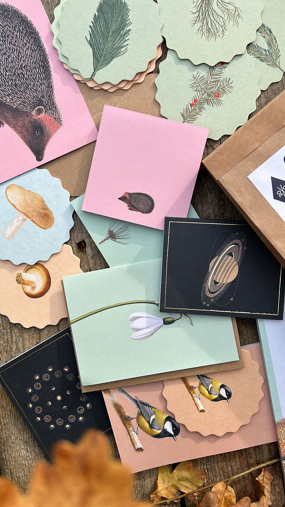 Miniaturbild: B-Ware Box Herbst/Winter