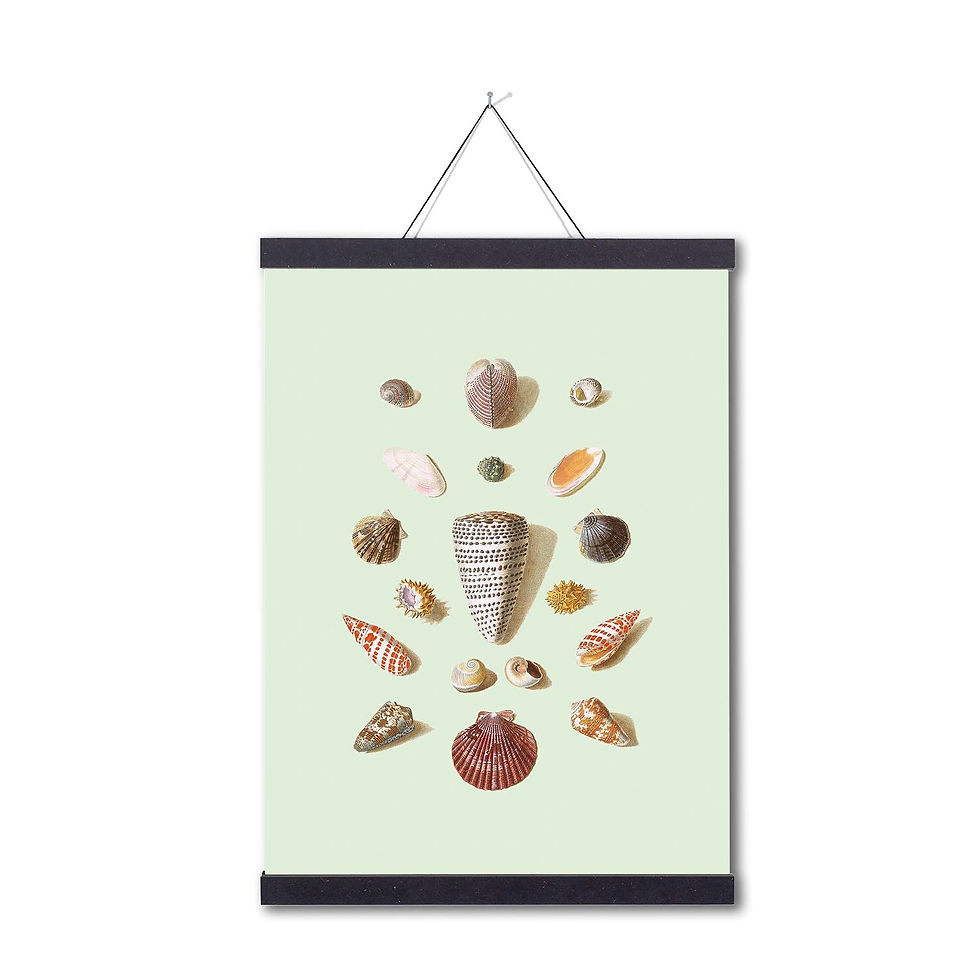 Thumbnail: Splendour