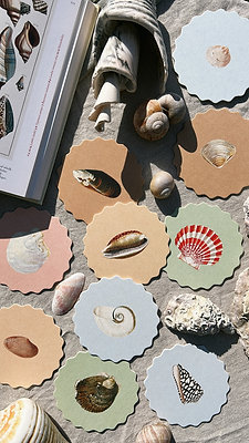 Coaster Set 10er - Muscheln