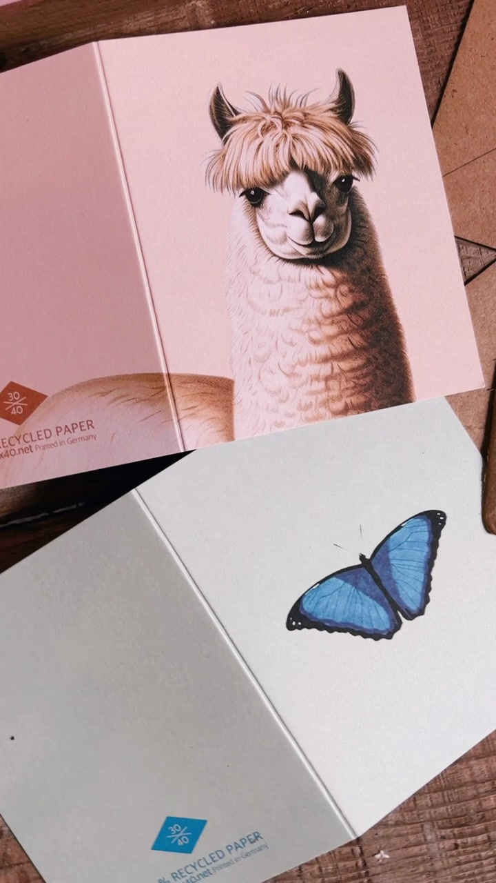 Miniaturbild: Reflection