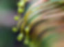 AdobeStock_187438319.jpeg