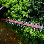 AdobeStock_179471094-768x513.jpeg
