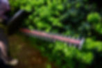AdobeStock_179471094-768x513.jpeg