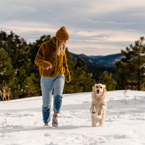 5 Reasons to Hire a Dog Photographer